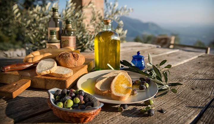 From Padua: Olive Oil & Wine in the Euganean Hills