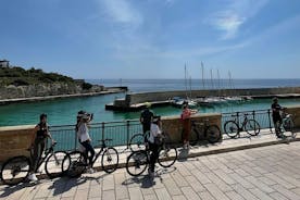 E-Bike, Apulian Sandwich and Wine