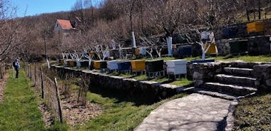 Gastronomi og sightseeing i Montenegro - Skadar-sjøen og Cetinje privat tur