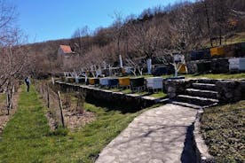 Gastronomie et visites touristiques au Monténégro - Visite privée du lac Skadar et Cetinje
