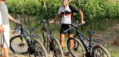 Small Group E-Bike Chianti Tour with farm lunch from Siena