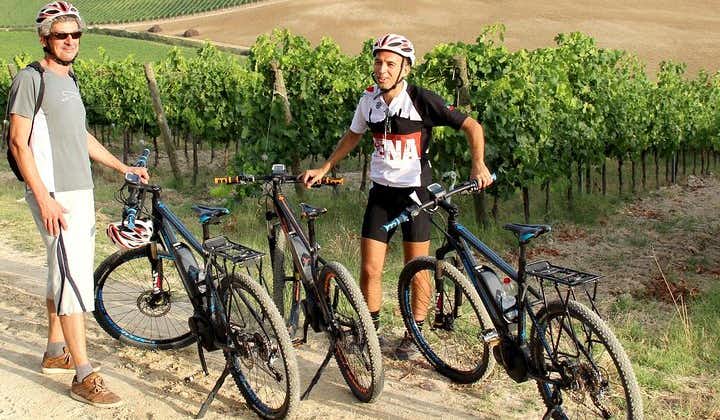 Small Group E-Bike Chianti Tour with farm lunch from Siena