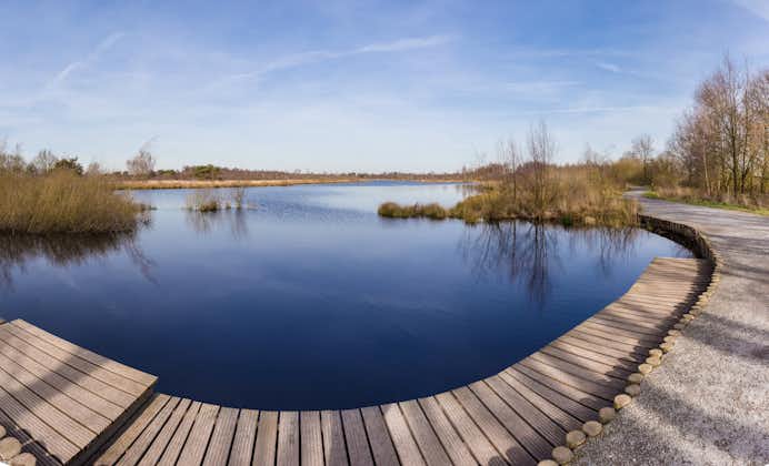 photo of panorama of Meerbaansblaak lake in national park De Groote Peel in The Netherlands.