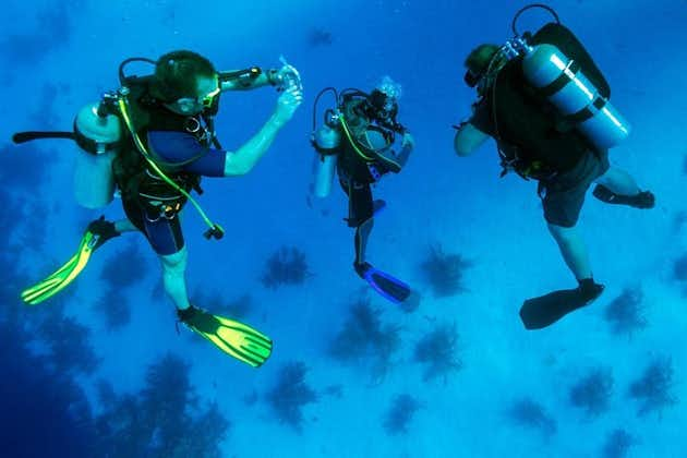 Kusadasi Scuba Diving