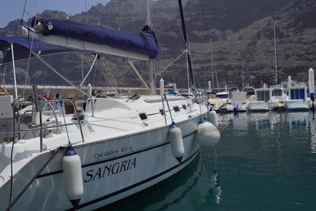 Excursion d'observation des cétacés et de plongée en apnée de 3 heures à Tenerife