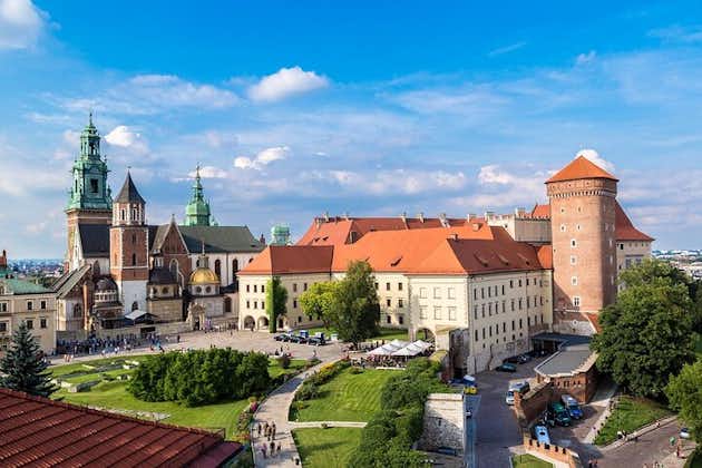 Cracovie : château de Wawel, cathédrale, déjeuner et visite guidée de la mine de sel de Wieliczka