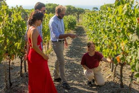 Wijnproeverij en bezoek aan de Cantina d'Autore in Ripalte