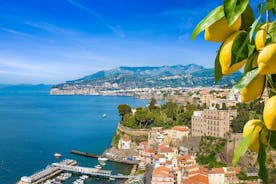 Half-Day Guided Sorrento Food and Limoncello Experience