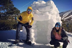Family fun: Snowshoeing + igloo building + sledding