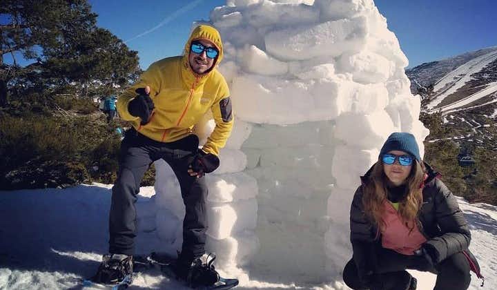 Family fun: Snowshoeing + igloo building + sledding