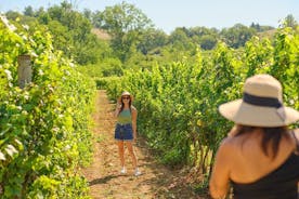 Private Tuscany Tour from Florence Including Chianti Wine Region