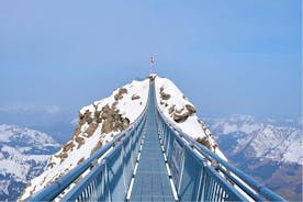 Interlaken: Private Car Tour to Glacier 3000, Montreaux and Vevey