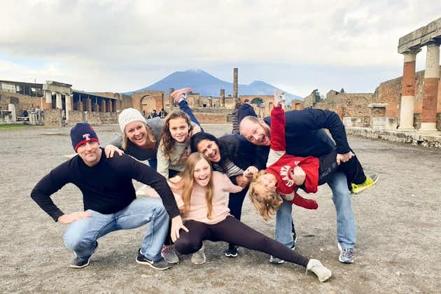 Pompeii, Herculaneum and wine experience on Mt Vesuvius with an archaeologist
