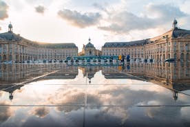 Toeristische hoogtepunten van Bordeaux een privétour van een halve dag met een local