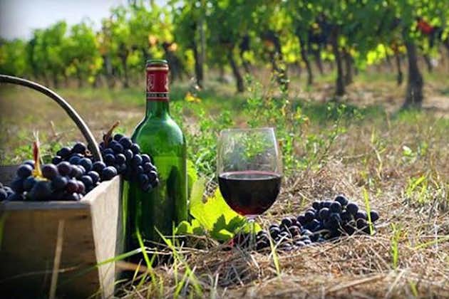 Recorrido vinícola privado a Kajetia desde Tiflis