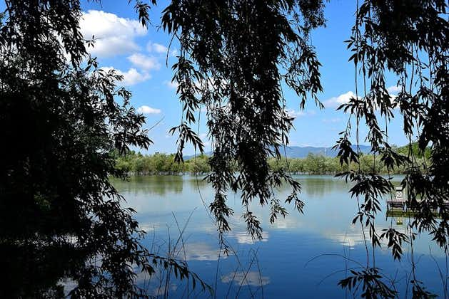 Cycling in the green: Cascine and Renai Parks private Tour