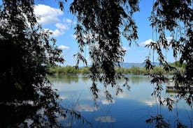 Cycling in the green: Cascine and Renai Parks private Tour