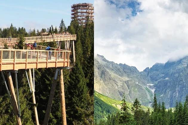 Van Krakau: Slowakije Treetop Walk Bachledka en Zakopane