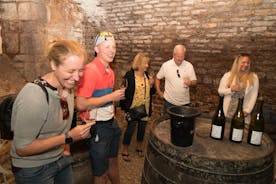 Burgundy Wine Tasting Small-Group Tour in Chablis from Paris