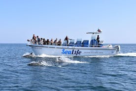 Sealife Sea Safari, 해양 생물학자의 Lagos와 함께하는 돌고래 관찰