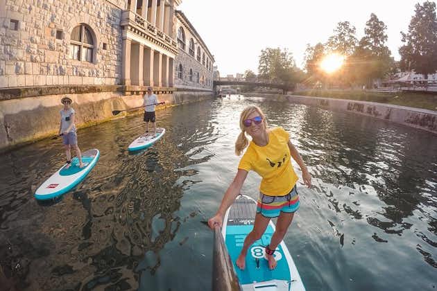 Ljubljana Stand-Up Paddle Boarding-leksjon og tur