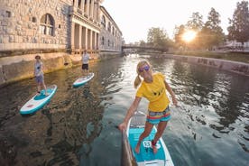 Ljubljana Stand-Up Paddle Boarding-lektion og tur