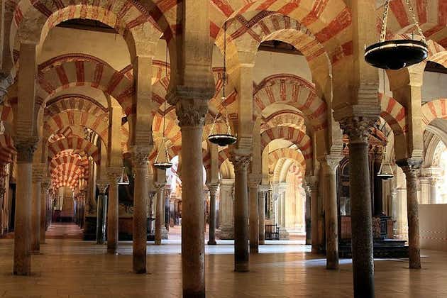 Tour privado de 9 horas a Córdoba desde Granada con recogida y regreso al hotel