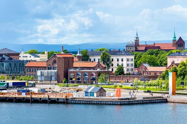 Hoogtepunten van Oslo en Polar Ship Fram Museum