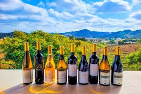 Small group Wine Tasting Tour from Lagos