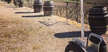 Vineyard visit in Gyropode, visit of Cave & Tasting Wines of Bandol