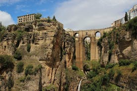 Excursion privée d'une journée à Ronda depuis Malaga en VOITURE ÉLECTRIQUE