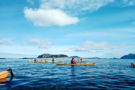 Kayak di mare ad Ålesund