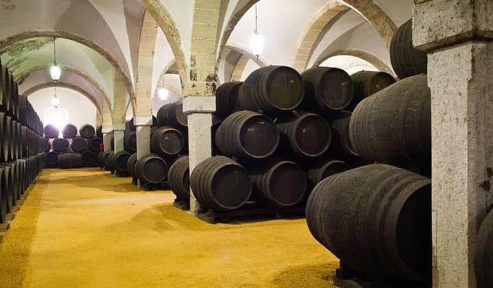 Ultimate Sherry Tour From Vejer de la Frontera in English
