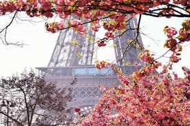 Privat fototur i Paris med en professionell fotograf