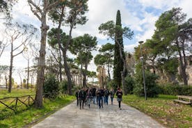 Excursion d'une journée aux ruines de Pompéi au départ de Rome