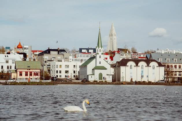 Explore Reykjavik in 1 hour with a Local