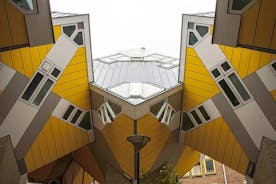 Einka gönguferð um arkitektúr í Rotterdam