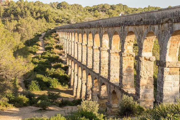 塔拉戈纳·鲁伊纳斯（Tarragona Ruinas）和普里拉特（Priorat）1天-巴塞罗那团体接客减少