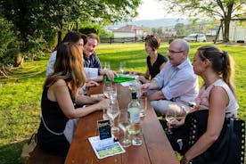 Austria: Half-Day Countryside Wine Tour from Vienna