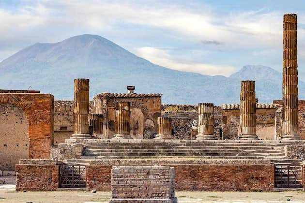 Från Neapel kryssning eller tåg Terminalen: Pompei Tour på halvdag