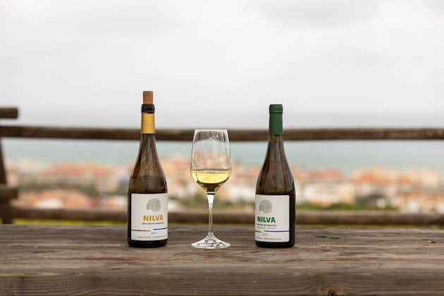 Manilva Experiencia de Vinos Frente al Mar en el Area Marbella