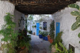 Private walking tour around the Old Town of Frigiliana