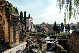 Abseits der ausgetretenen Pfade in Verona: Private Stadtrundfahrt