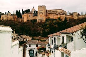 Alhambra and Granada City Center sightseeing tour!