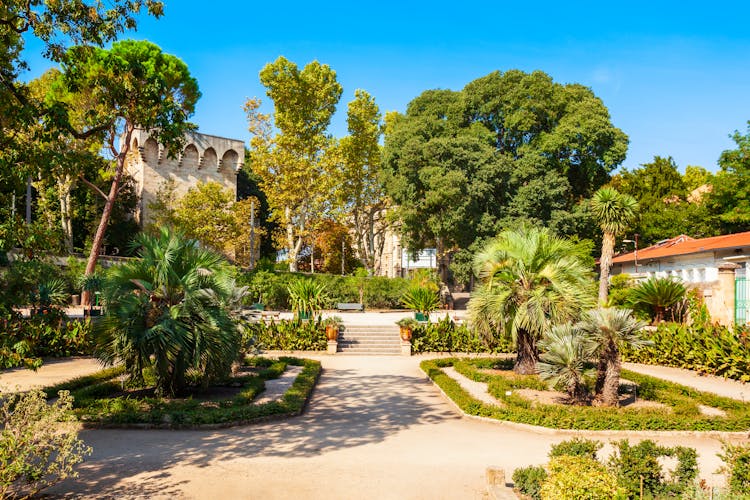 Photo of jardin des plantes de Montpellier is a public botanical garden in Montpellier city, France.