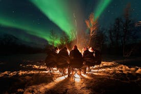 Northern Lights by Minibus. Photos Under the Lights included. Tromso