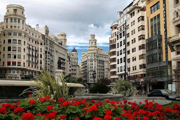Valencia privat tur med hotel eller krydstogthavn afhentning