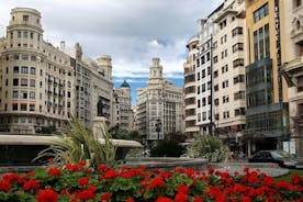 Valencia Private Tour with Hotel or Cruise Port Pick up 