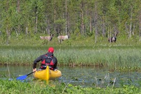 Auténtica granja de renos y experiencia en canoa desde Rovaniemi.