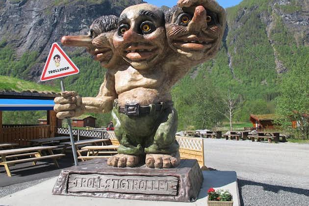 Visite d'Alesund à Trollstigen, pays des trolls avec transfert